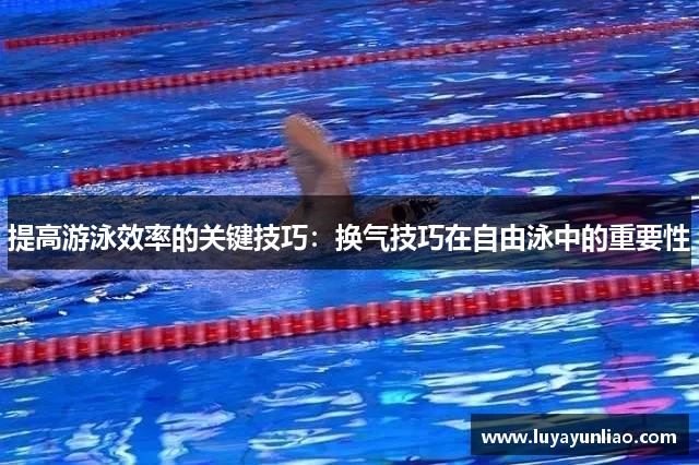 提高游泳效率的关键技巧：换气技巧在自由泳中的重要性